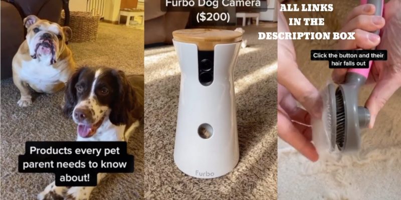 AMAZON MUST HAVES FOR PETS 2020 | PRODUCTS EVERY PET OWNERS NEEDS